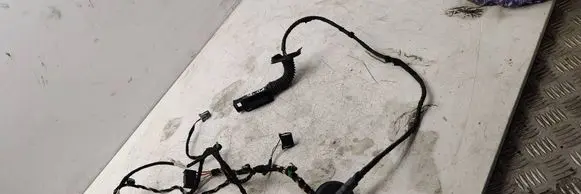 Volkswagen PASSAT B8 Front door wiring loom 3G1971121H 6446807 BC4801