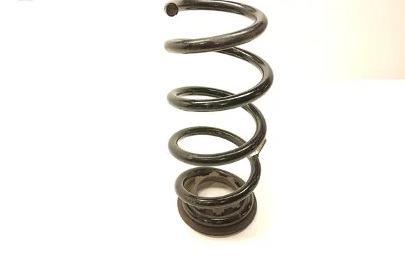 Tesla Model 3 Rear coil spring 104447204A CZHA221900001110