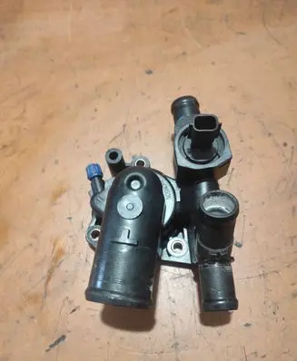 Thermostat/thermostat housing