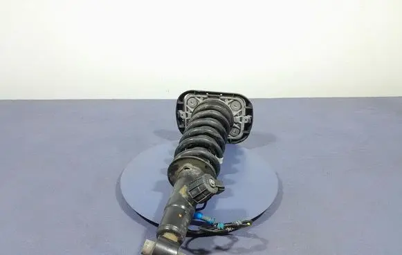 BMW X6 M Rear shock absorber/damper 6896442
