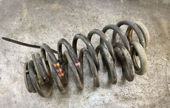 Rear coil spring