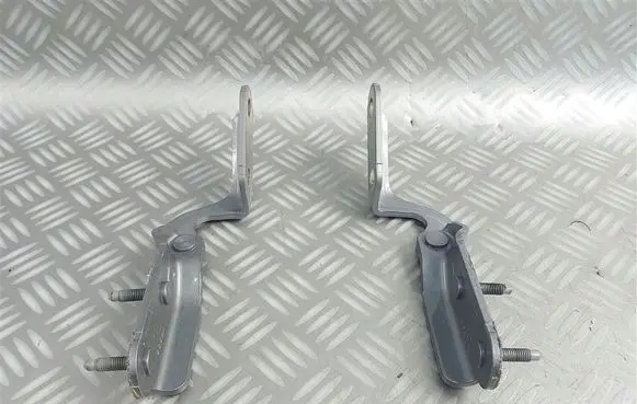 Ford Kuga III Tailgate/trunk/boot hinge LJ6BS42901AB