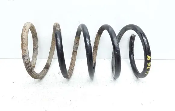 Rear coil spring