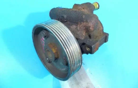 Electric power steering pump