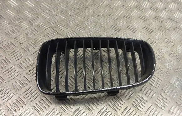 BMW 1 E81 E87 Front grill 7166439