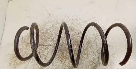 Front coil spring