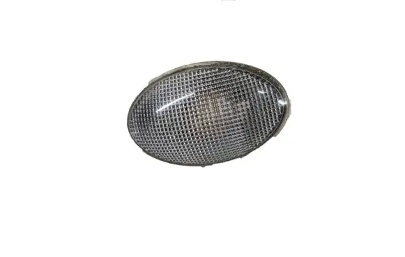 Front fender indicator light