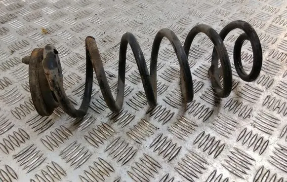 Volkswagen Golf V Rear coil spring