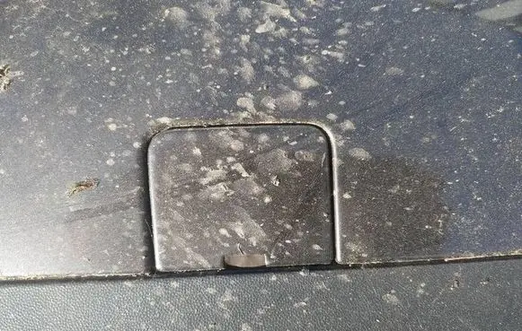 Volkswagen PASSAT B6 Rear bumper row hook cap/cover 