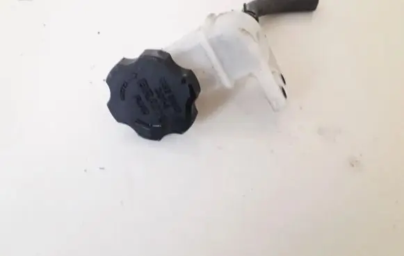 Chevrolet Captiva Brake fluid reservoir 