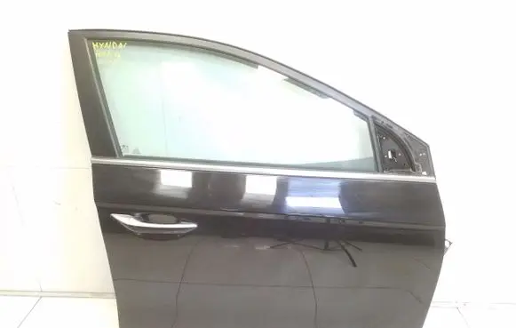 Hyundai Ioniq Front door