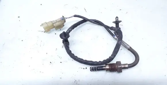 Opel Zafira B Exhaust gas temperature sensor 55562433