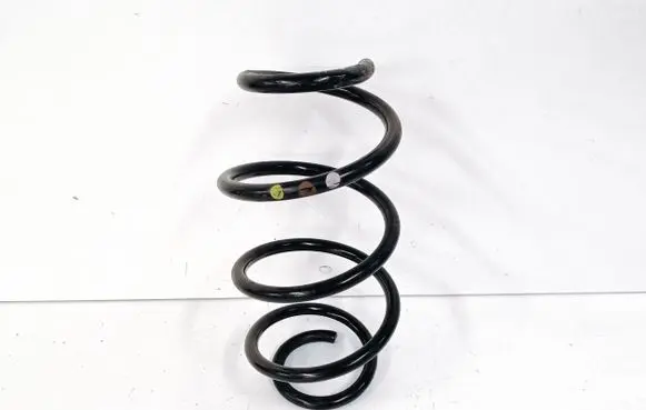 Front coil spring