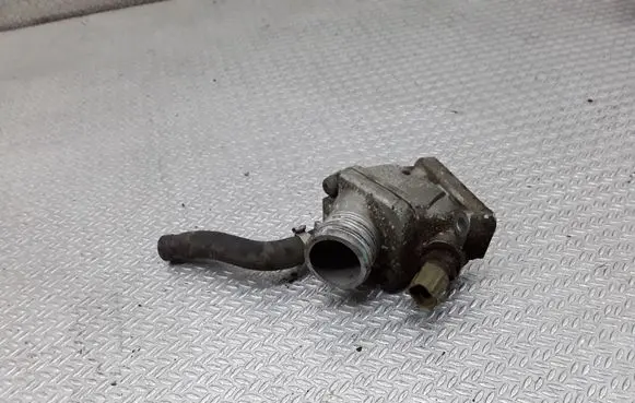 Thermostat/thermostat housing