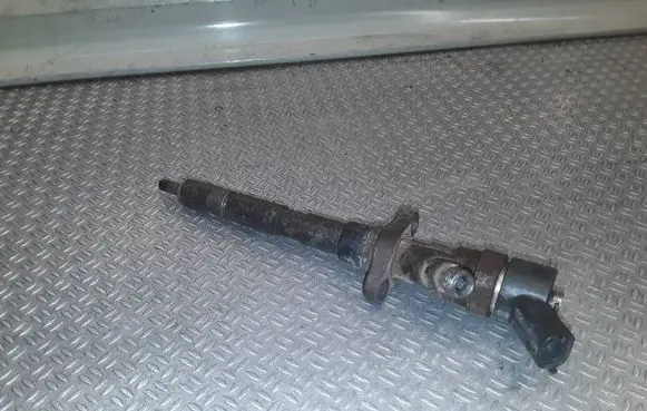 Lancia Phedra Fuel injector 9653344880 0445110036