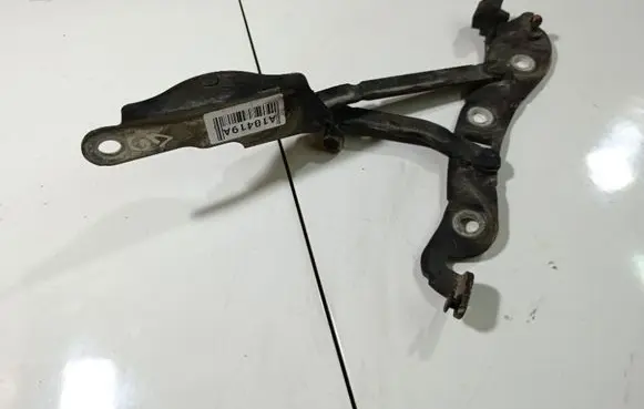 Tailgate/trunk/boot hinge