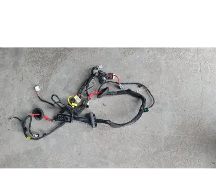 KIA EV6 Front door wiring loom 91600cv010