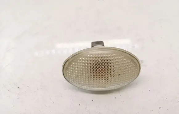Front fender indicator light