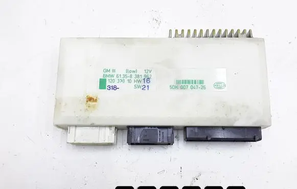 BMW M5 Engine control unit/module 61358381962