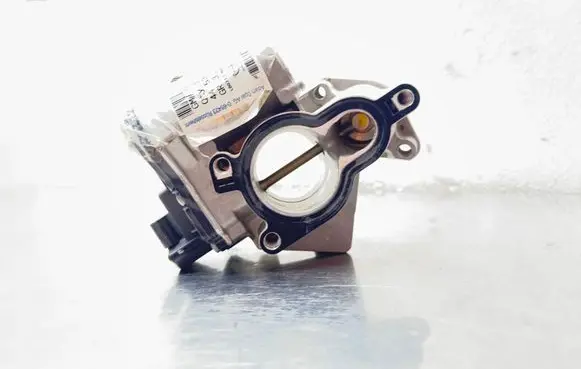 Opel Vivaro EGR valve H8200987088 93198888 147105543R