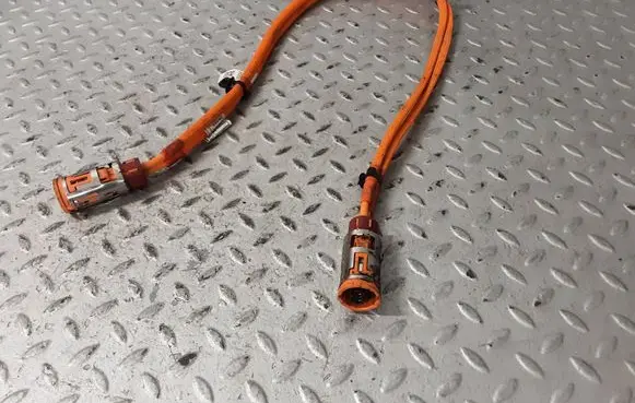 BMW X1 U11 Other wiring loom 5A1CA72 5A1CA73 61295A1CA73