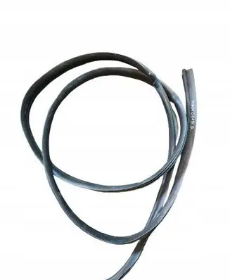Renault Kangoo II Rear door rubber seal (on body) 
