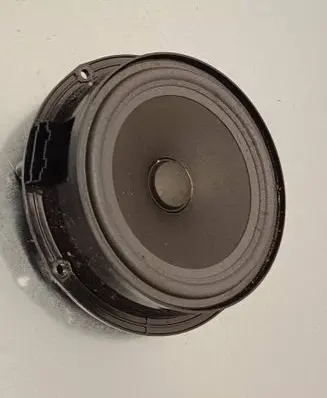 Rear door speaker