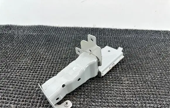 Renault Scenic IV - Grand scenic IV Front bumper support beam 6040378200
