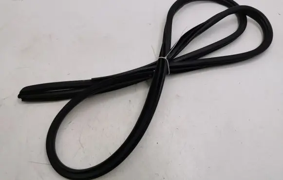 Lexus NX Front door rubber seal