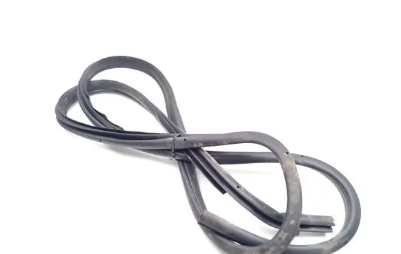 Nissan Juke II F16 Front door rubber seal 