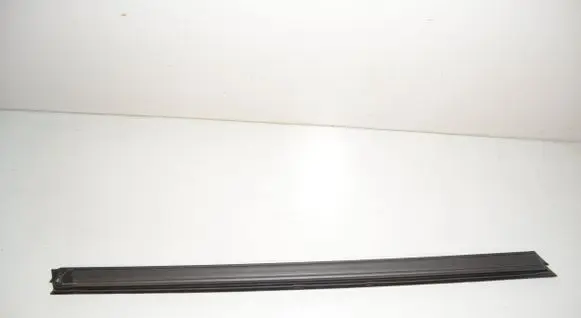BMW X1 U11 Front door glass trim molding 9451513 51339451513