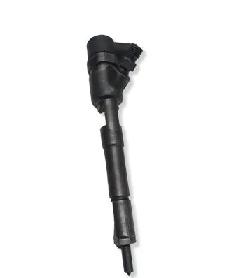 Fiat Doblo Fuel injector 0445110614