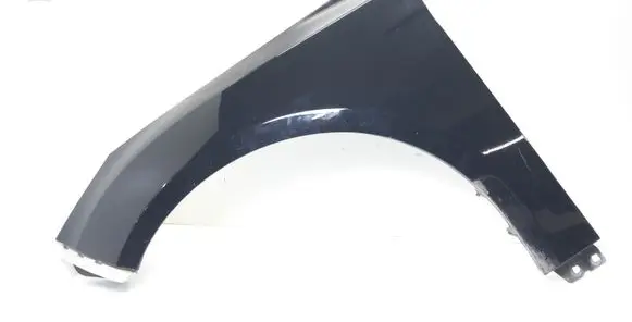 Ford Focus Fender