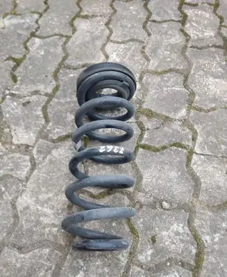 Rear coil spring
