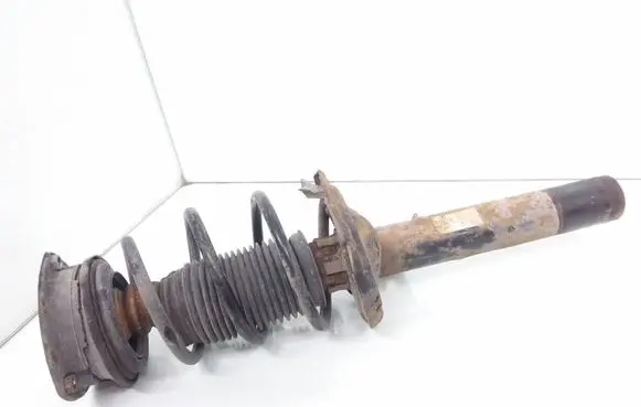 Front shock absorber with coil spring