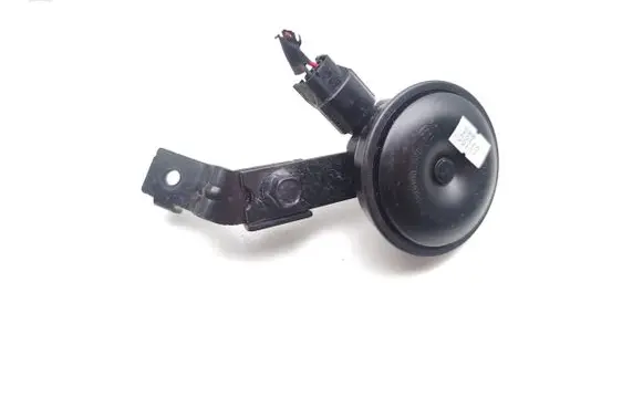 Horn signal