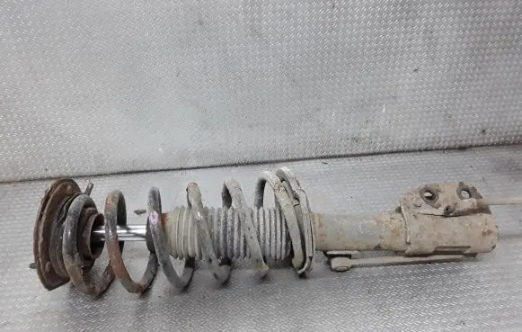 Chevrolet Captiva Front shock absorber with coil spring