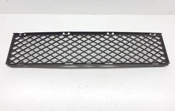 BMW 7 E65 E66 Front bumper lower grill 51117135573