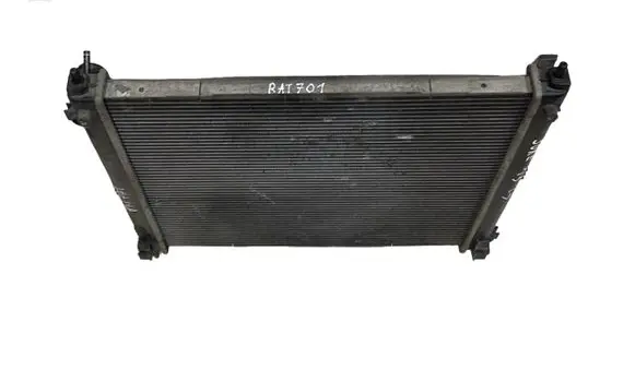 Nissan Juke I F15 Coolant radiator 21410BA62A