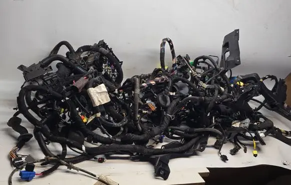Jeep Compass Wiring harness 52193006