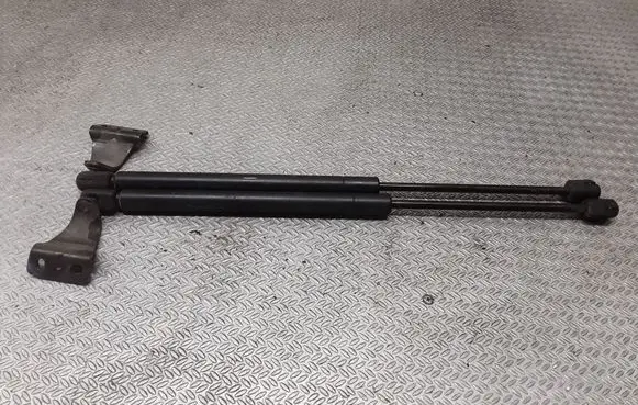 Hyundai Santa Fe Rear window strut damper