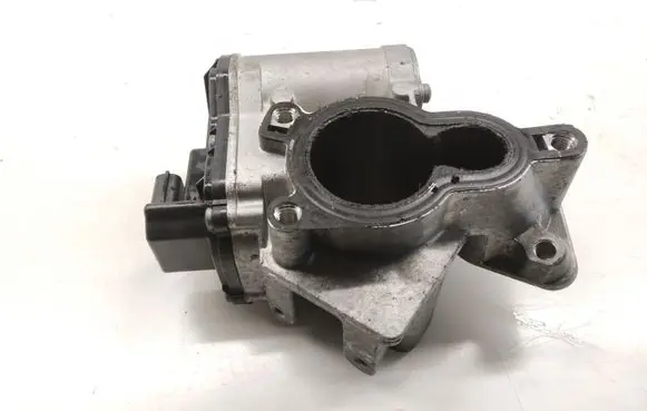 Renault Latitude (L70) EGR valve H8200987088