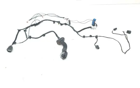 Maserati Ghibli Front door wiring loom 06700066730