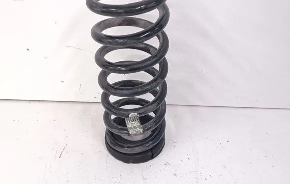 Rear coil spring