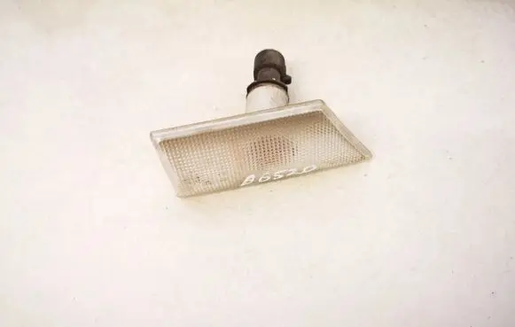 Front fender indicator light