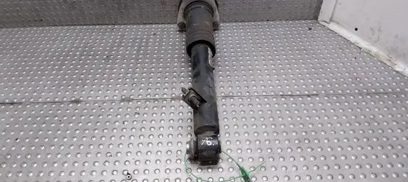 BMW X5 E70 Rear shock absorber/damper 6782876