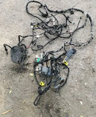Renault Megane IV Other wiring loom 241630825R 15A16