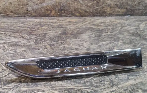 Fender trim (molding)