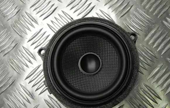BMW X3 F25 Front door high frequency speaker 9209184 R1275