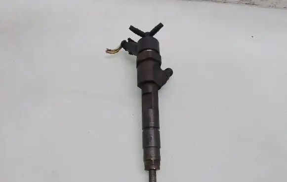 Renault Megane II Fuel injector 0445110110B